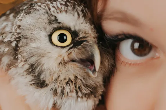 Καζίνο Πάλας οφ Τσάνς Υποστηριξη